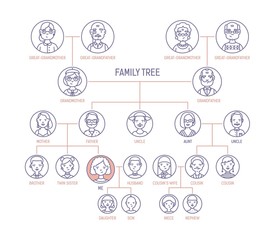 Family tree, pedigree or ancestry chart template with men's and women's portraits in round frames. Representation of links between relatives and their ancestors. Vector illustration in line art style.