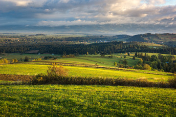 Fototapeta na wymiar Landscape with trees and meadow at autumn from Czarna Gora in Tatra mountains, Poland