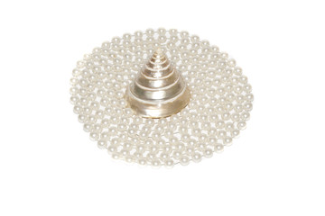 shell isolated on white background