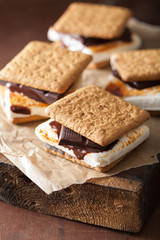 homemade marshmallow s'mores with chocolate on crackers