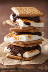 homemade marshmallow s'mores with chocolate on crackers © Olga Miltsova