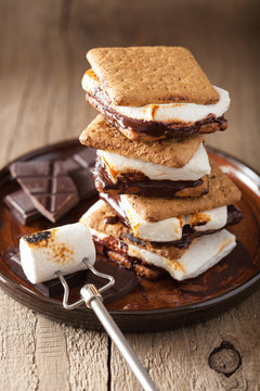 homemade marshmallow s'mores with chocolate on crackers