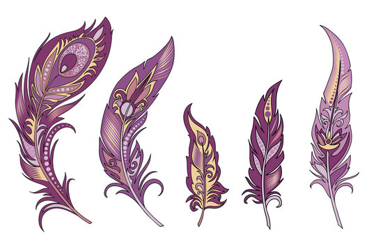 set of  vector  feathers 
