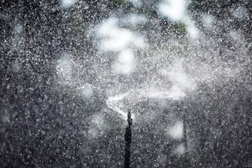 splashing background from watering sprinkler plant