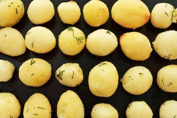 Tubers boiled potatoes lie in four rows sprincled with dill 1