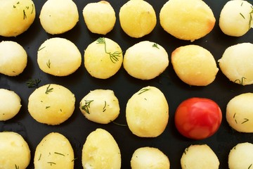 Tubers boiled potatoes lie in four rows sprincled with dill and tomato