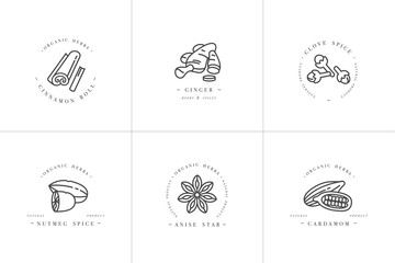 Vector set design monochrome templates logo and emblems - herbs and spices. Different spices icon for mulled wine. Logos in trendy linear style isolated on white background.