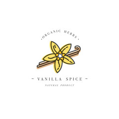 Packaging design template and emblem - herb and spice - vanilla flower and pods. Logo in trendy linear style.