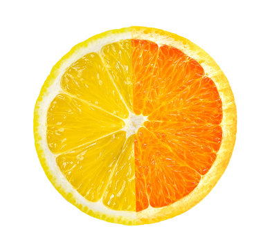 lemon slice and orange on white background. saved with clipping path
