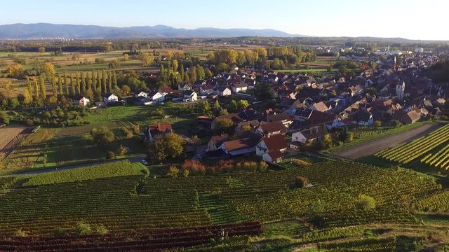 Weinberge Reben Kaiserstuhl B&ouml;tzingen