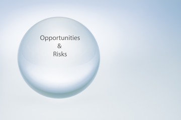 Look into a crystal ball- Opportunities & Risks
