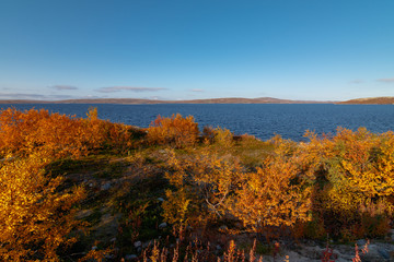 Fototapeta premium river Teriberka/ river Teriberka in autumn, Murmansk region, Russia