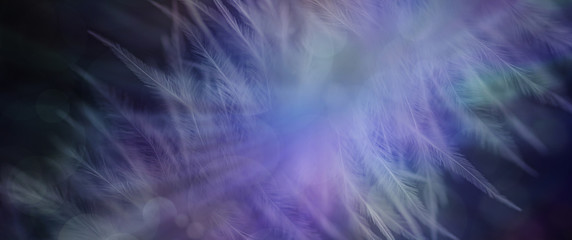 Bokeh Feather Ethereal Banner Background - wide dark blue bokeh background with ethereal feather impression across middle and copy space either side