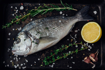 Raw fish with rosemary, thyme, sea salt and lemon on baking tray