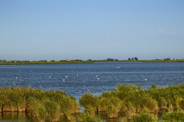 Natural park of the Ebro river delta, in Spain. Flamingos, herons and water birds of various species. Brackish and marshy waters, salt pans for the natural production of salt.