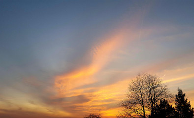 Fototapeta na wymiar Cheshire evening sky with tree silhouette 