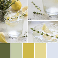 Palette of detox water with lemon and thyme. Color matching palette