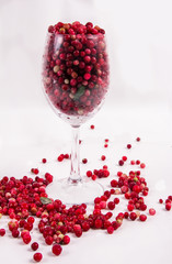 lingonberry,Forest berries cowberry,