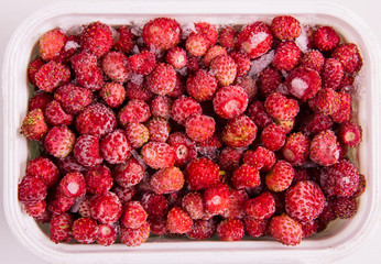.frozen strawberry forest berry,