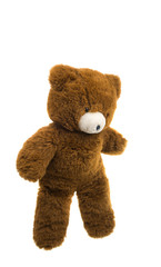 Bear soft toy isolated