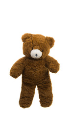 Bear soft toy isolated