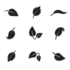 Leaf vector icon set.