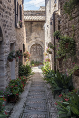 Fototapeta na wymiar Spello, Perugia, medieval city