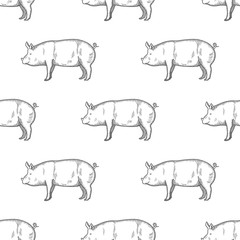 Pig vintage engraved illustration Seamless Pattern background. Vector