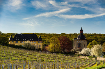 Schloss Vollrads im Rheingau