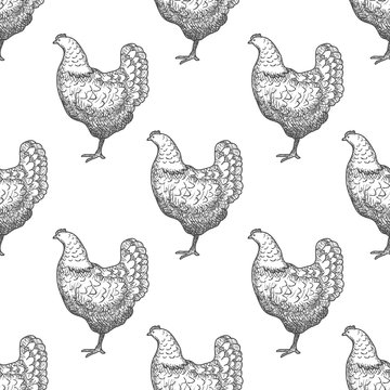 Chicken vintage engraved illustration seamless pattern background. Vector