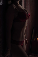 Close-up of a female figure in erotic lingerie
