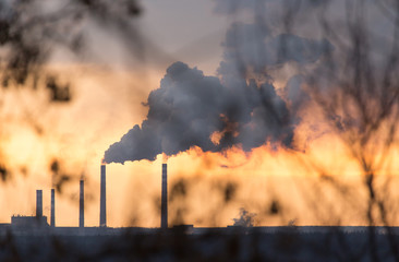 Smoke from pipes in the plant behind the branches of trees