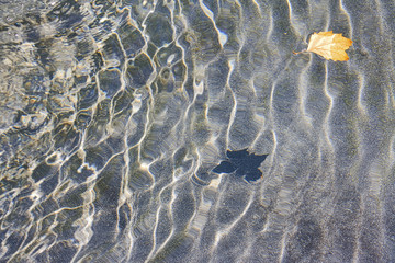 Reflections in water