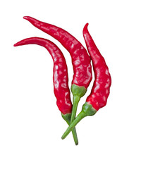 3 beautiful red chili peppers flame-shaped on white background