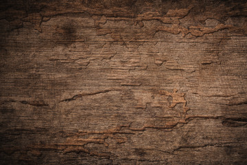 Naklejka premium Wood decay with wood termites,Old grunge dark textured wooden background,The surface of the old brown wood texture