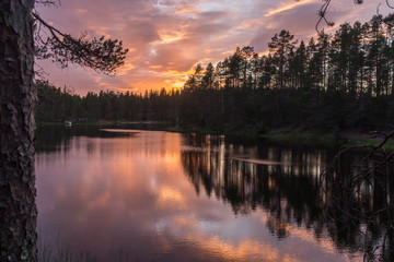 Obraz premium Forest at sunset over the lake