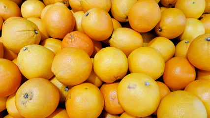 Tangerines and orange isolated on white background