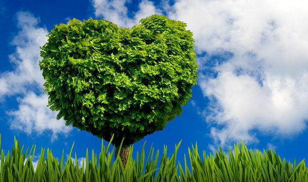 image of tree in the shape of  heart as a symbol of love and devotion