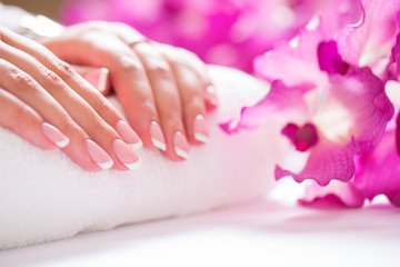 Closeup shot of beautiful female dands with nails of france manicure. Manicure and spa concept