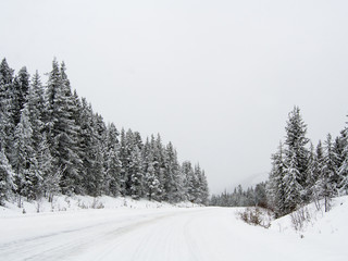 The road 93 Icefield Parkway in Winter at Jasper National park,Canada