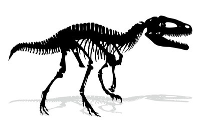 Skeleton of ancient big dinosaur.