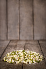 Mungbohnenkeimlinge oder Sprossen auf Holz, Textfreiraum