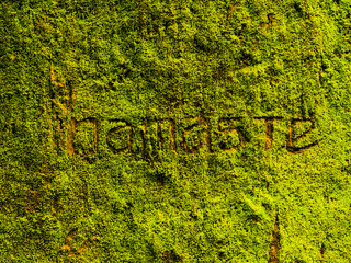 the word namaste scratched into a green moss wall at an outdoor yoga studio in Bali