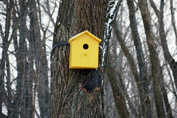 Colored birdhouses.Colorful bird houses