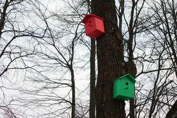 Colored birdhouses.Colorful bird houses