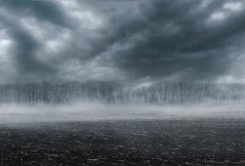Foto op Plexiglas Somber landschap - verschroeide aarde, mist en donker bos © olegkruglyak3