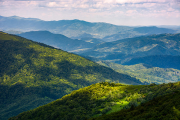 Fototapeta premium grassy slopes of Carpathian mountains. beautiful summer landscape on a cloudy day. location Runa mountain, Ukraine