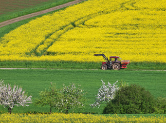 Feldflur mit Büschen, Rapsfeld und Traktor