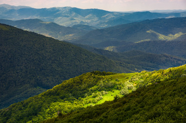 Fototapeta premium grassy slopes of Carpathian mountains. beautiful summer landscape on a cloudy day. location Runa mountain, Ukraine