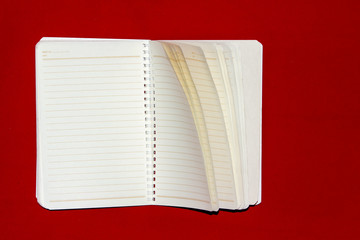 Notebook old red Frieze